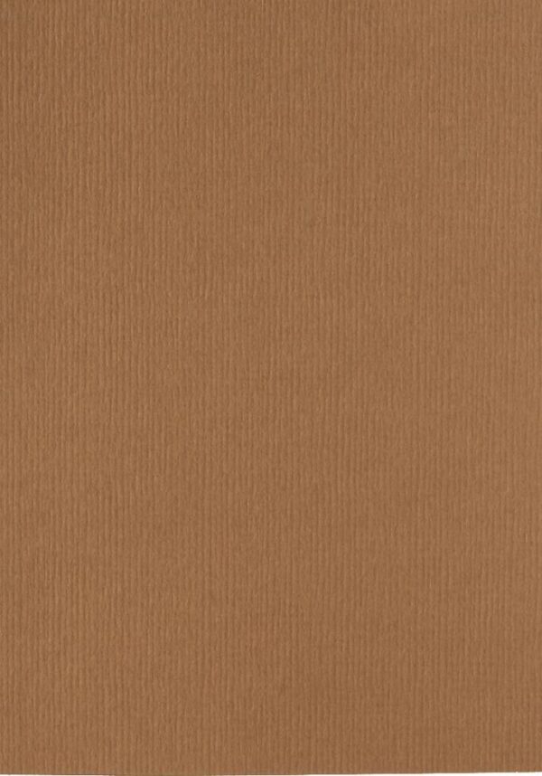 301939 Papicolor 6x cardboard 210x297mm A4 nut brown