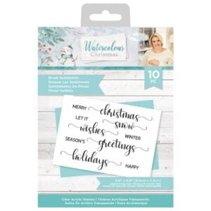 Crafter's Companion - Watercolour Christmas Clear Stamps - "Brush Sentiments"