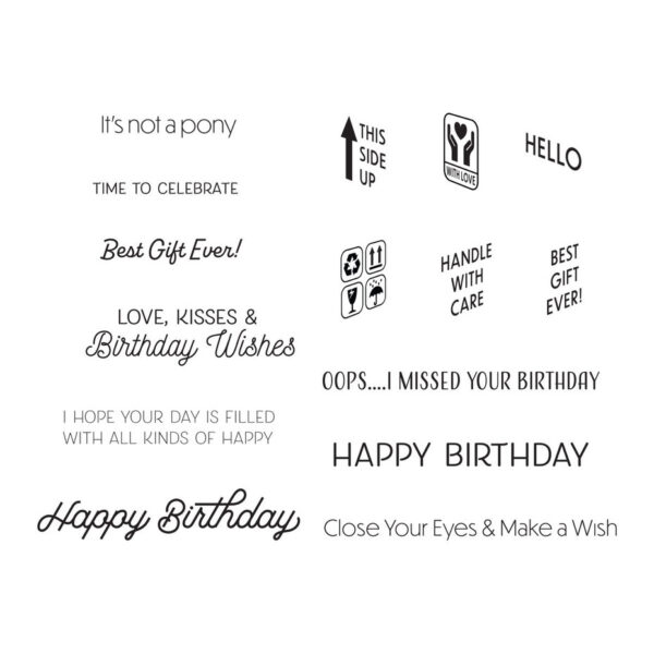 STP 117 spellbinders birthday unboxing sentiments clear stamps 2