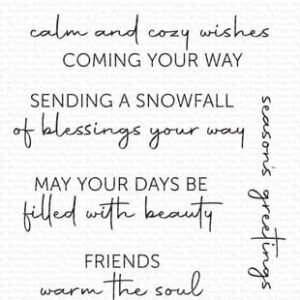 CS 841 my favorite things snowfall of blessings clear stamps