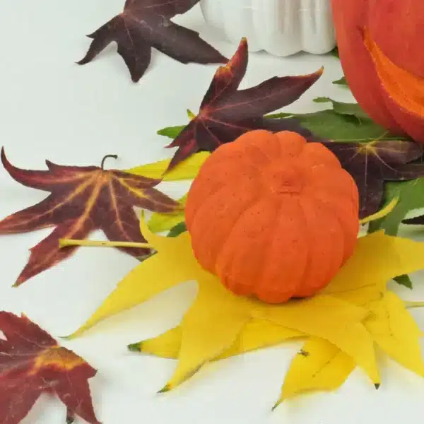 Frigolit Pumpa 11 cm - Bild 2